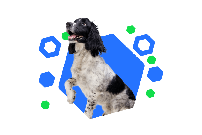 Ein niedlicher Hund mit schwarz-weißem Fell hebt seine rechte Pfote und schaut fröhlich in die Ferne. Der bunte, hexagonale Hintergrund betont die verspielte und freundliche Natur des Hundes.